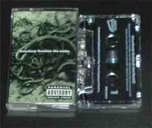 Desultory - Swallow The Snake