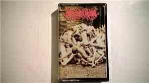 Maggots Colony - Delirium Desire