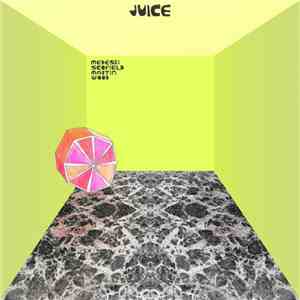Medeski Scofield Martin Wood - Juice