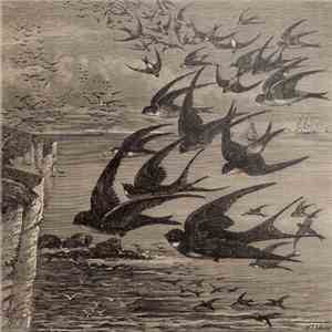 Neutral Milk Hotel - Little Birds