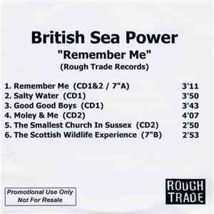 British Sea Power - Remember Me