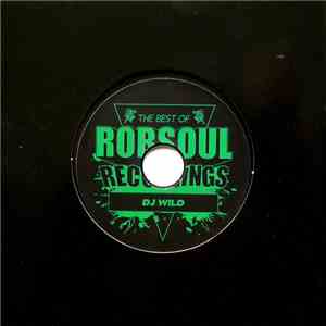 DJ W!ld - Best Of Robsoul Recordings Volume 5 - DJ W!ld