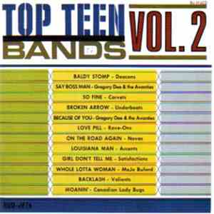 Various - Top Teen Bands Vol. 2