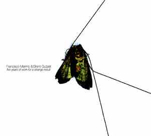 Francisco Meirino & Brent Gutzeit - Five Years Of Work For A Strange Result
