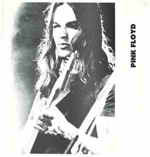Pink Floyd - The Pink Of Perfection