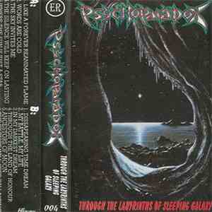 Psychoparadox - Through The Labyrinths Of Sleeping Galaxy