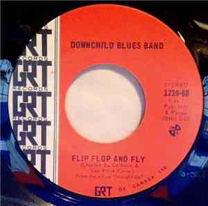 Downchild Blues Band - Flip Flop And Fly