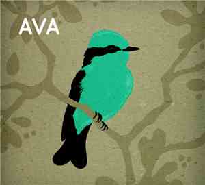 Ava  - Ava