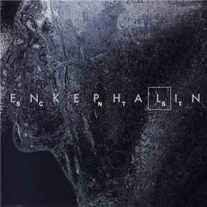 Enkephalin  - Scntst