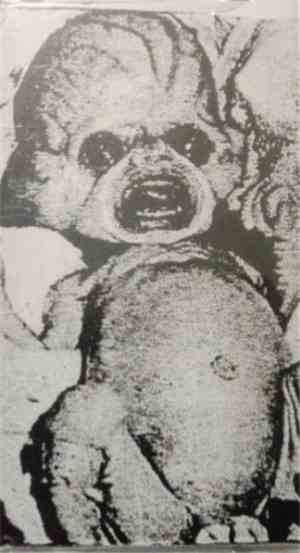The Molested - Demo 96