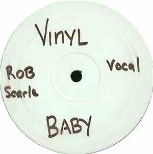 Vinyl Baby feat. Anna Samant & MC Jerry - Lovin You
