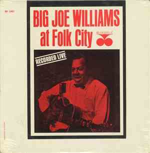 Big Joe Williams - At Folk City