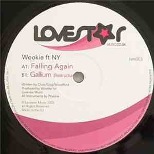 Wookie Ft. NY - Falling Again / Gallium