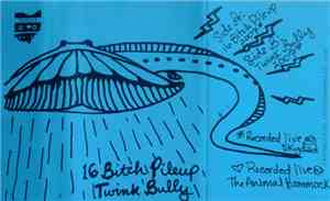 16 Bitch Pile-Up / Twink Bully - 16 Bitch Pile-Up / Twink Bully