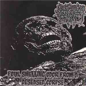 Agonizing Excess Bowel Acid Dissolving The Intestines Causing Massive Organ ...