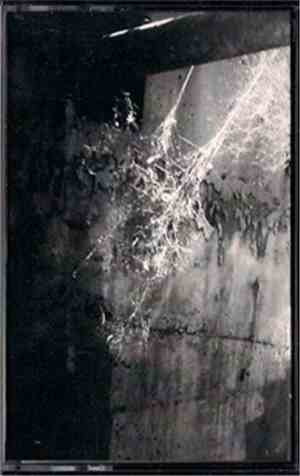 Circuit Wound - They Thrive In Complacency