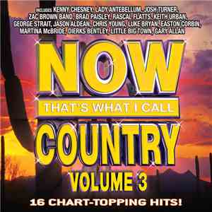 Various - Now That's What I Call Country Vol. 3