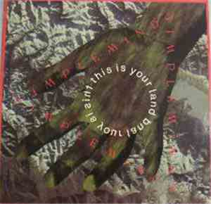 Simple Minds - This Is Your Land