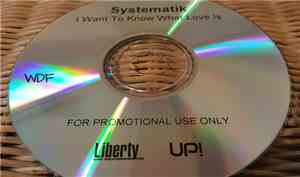 Systematik - I Want To Know What Love Is