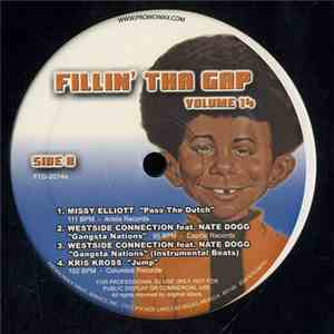 Various - Fillin' Tha Gap Volume 14