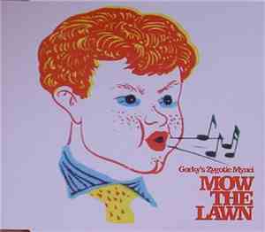Gorky's Zygotic Mynci - Mow The Lawn