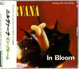 Nirvana - In Bloom