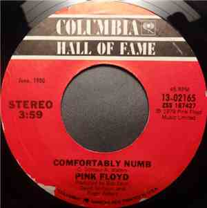 Pink Floyd - Run Like Hell / Comfortably Numb