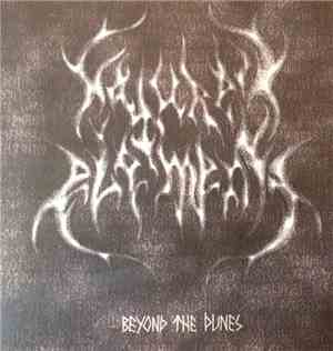 Nature's Elements - Beyond The Dunes