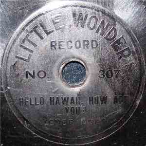 Unknown Artist - Hello Hawaii, How Are You?