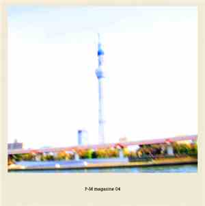 Various - P+M Magazine 04