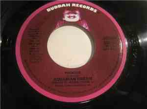 Aquarian Dream  - Phoenix