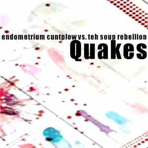 endometrium cuntplow vs. teh soup rebellion - Quakes