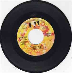 Jim Chesnut - Pick Up The Pieces / Out Run The Sun