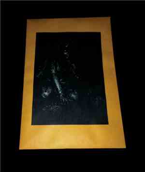 Malevich - Only The Flies