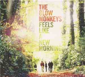The Blow Monkeys - Feels Like A New Morning