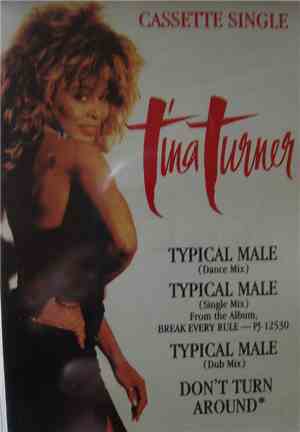 Tina Turner - Typical Male (Dance Mix)