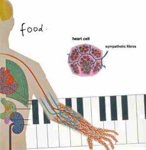 Food  - Sympathetic Heart Cell Fibres