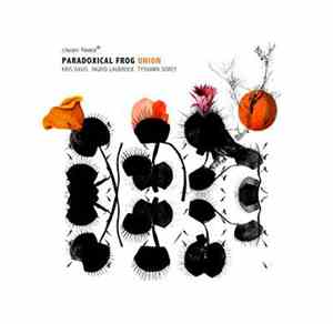 Paradoxical Frog  - Union