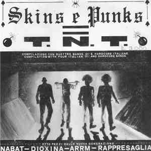 Various - Skins E Punks = T.N.T.