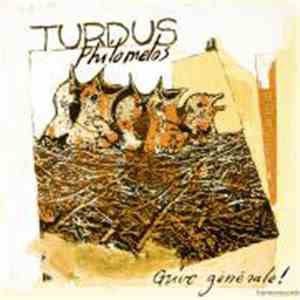Turdus Philomelos - Grive générale