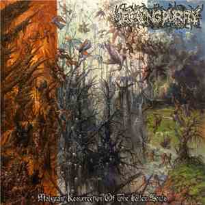 Decaying Purity - Malignant Resurrection Of The Fallen Souls