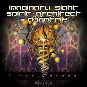 Imaginary Sight, Spirit Architect & Djantrix - Pineal Gland