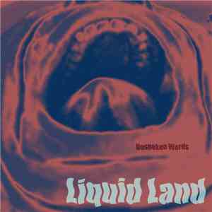Liquid Land - Unspoken Words