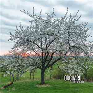 Orchard  - Serendipity