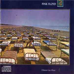 Pink Floyd - A Momentary Lapse Of Reason