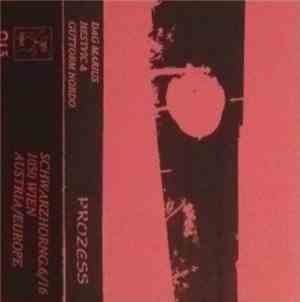Dag Marius Hestvic & Guttorm Nordo, Prozess - Untitled