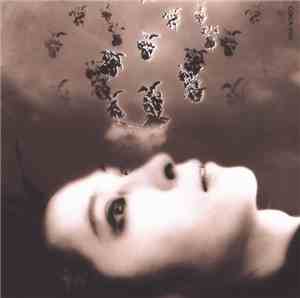 Der Zibet - 思春期II-Downer Side-