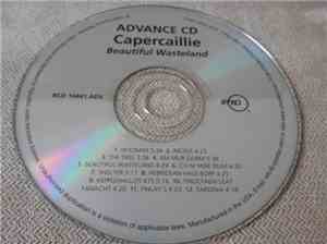 Capercaillie - Beautiful Wasteland