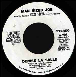 Denise LaSalle - Man Sized Job