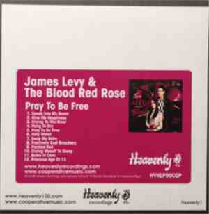 James Levy And The Blood Red Rose Featuring James Levy and Allison Pierce - ...